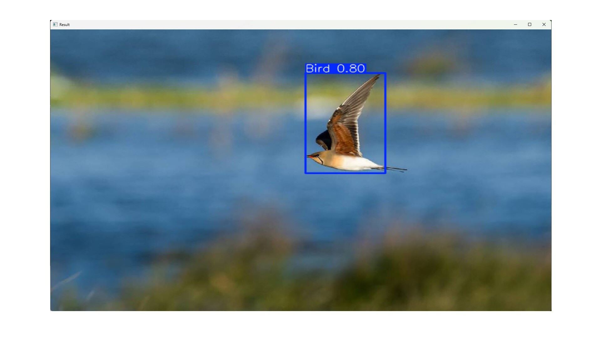 YoloDataset Creator screenshot 8