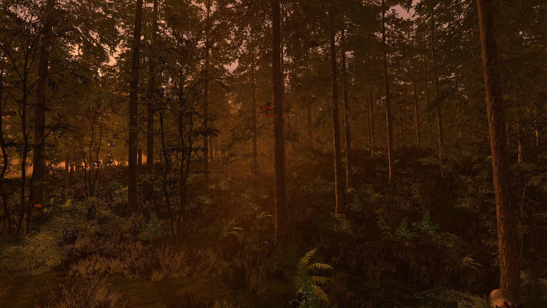 The Medieval Doctor screenshot #4