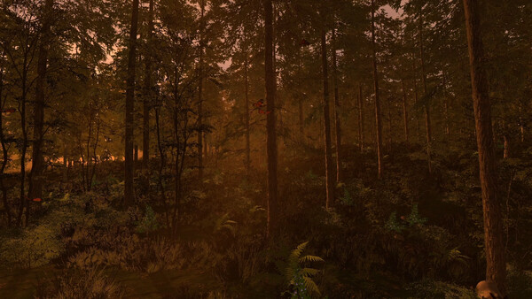 The Medieval Doctor screenshot 4