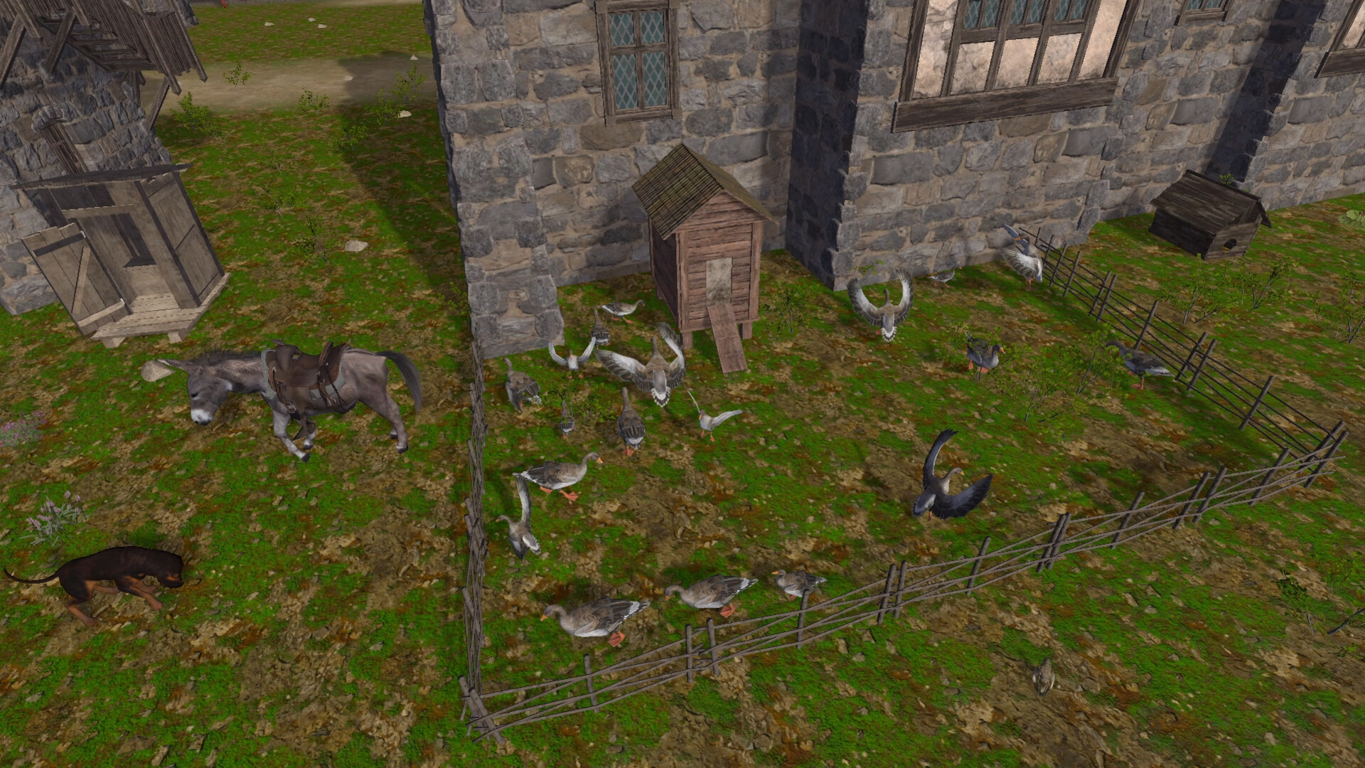 The Medieval Doctor screenshot #6