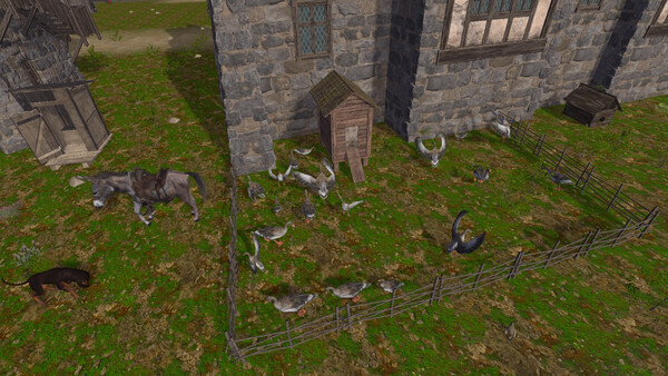 The Medieval Doctor screenshot 6