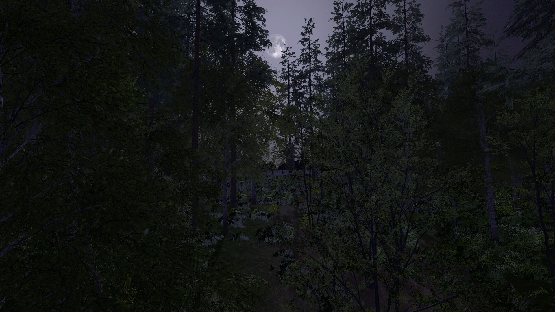 The Medieval Doctor screenshot #2