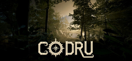 Codru — Steam header