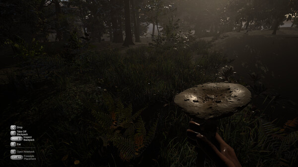 Codru screenshot 1