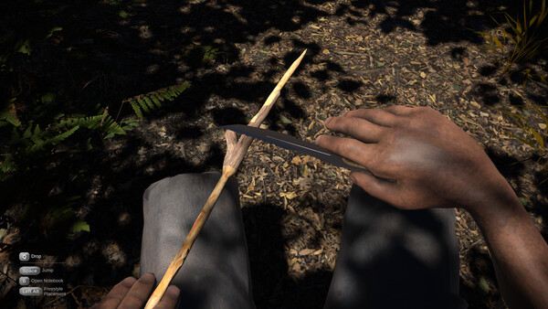 Codru screenshot 8