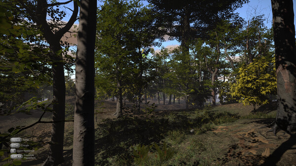 Codru screenshot 9