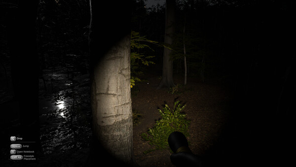 Codru screenshot 7