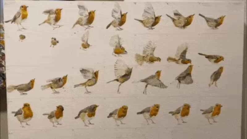Best Viewed Up Close: Oil on Canvas video 1