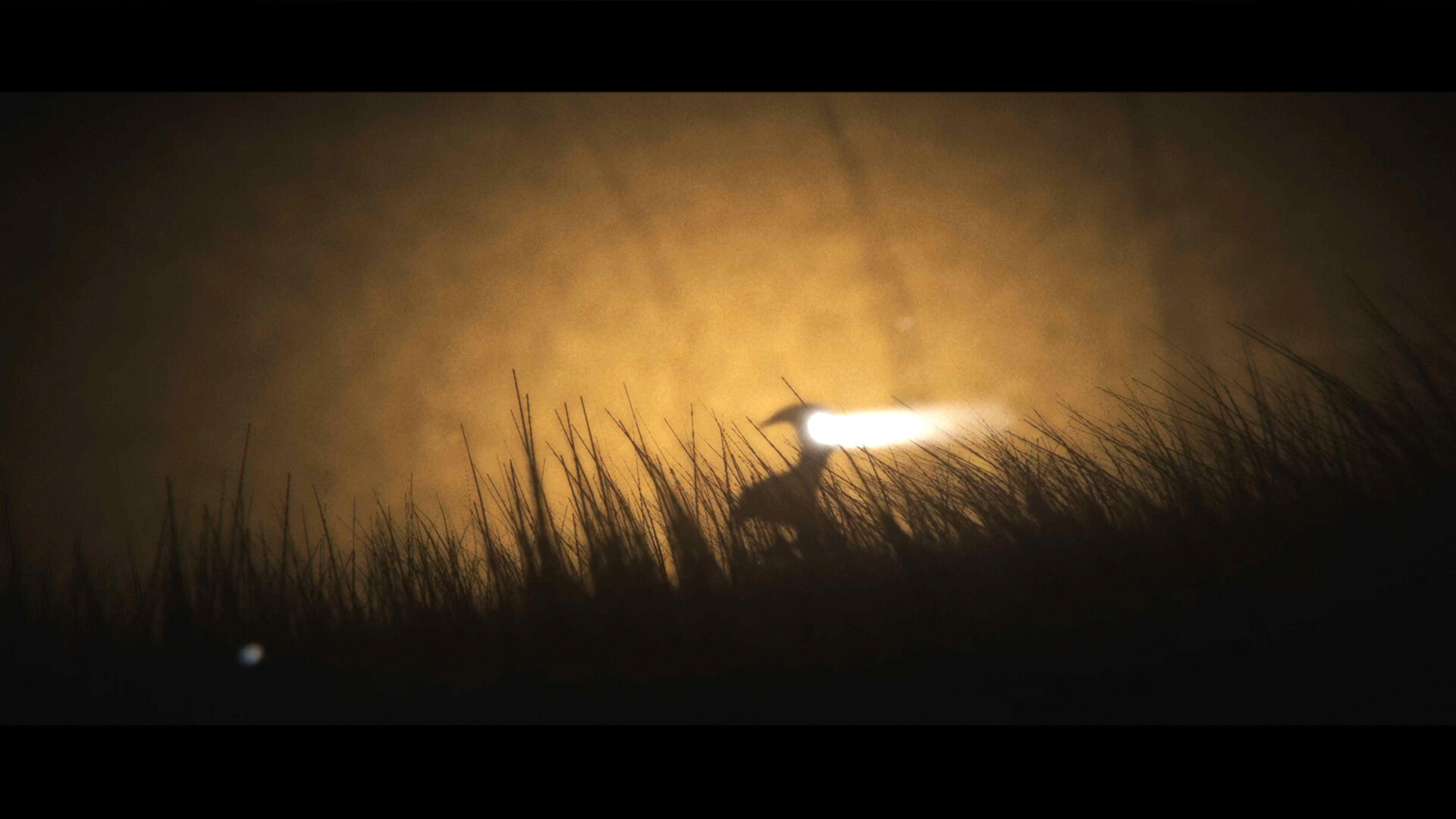 EMBER – Screenshot 7