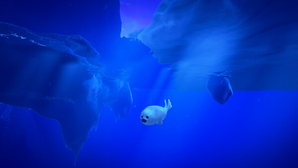 Seal Way screenshot 1