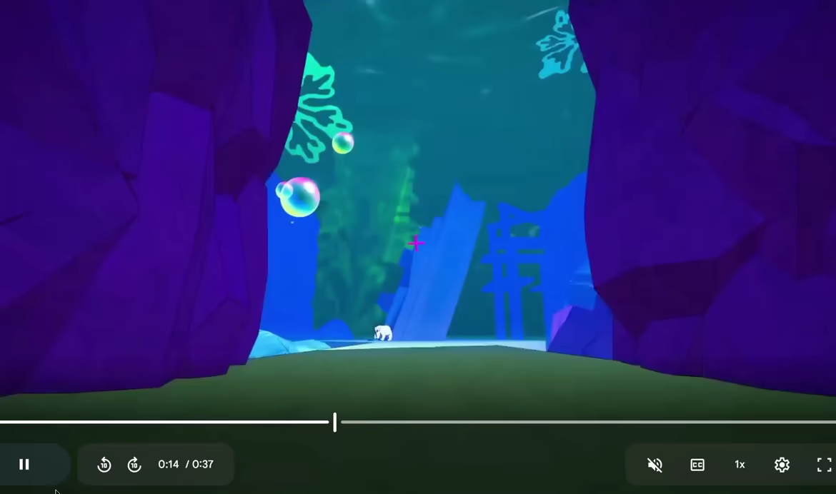 fresh fish video 4