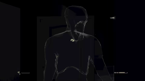 SHH! video 2