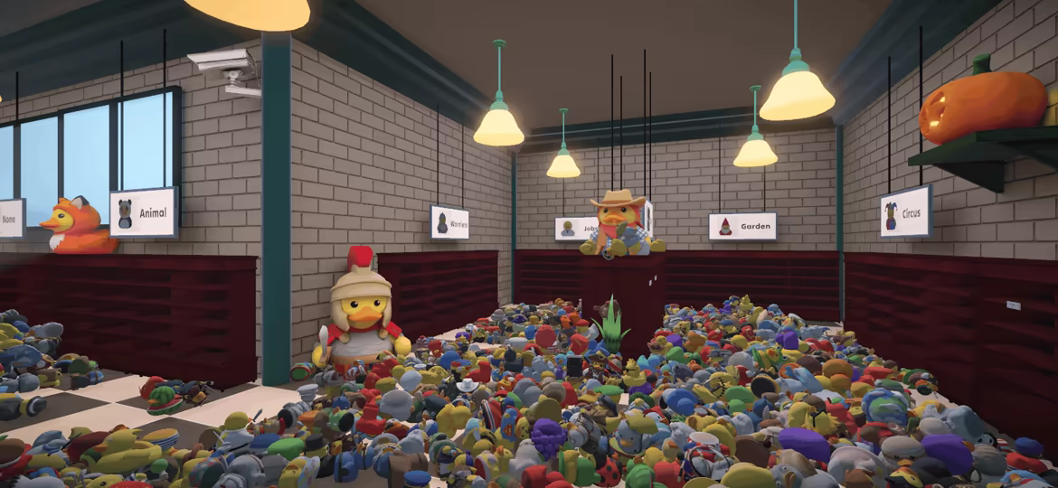 Sort Them Ducks video 2