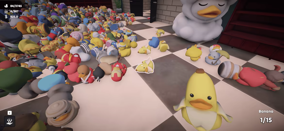 Sort Them Ducks video 4
