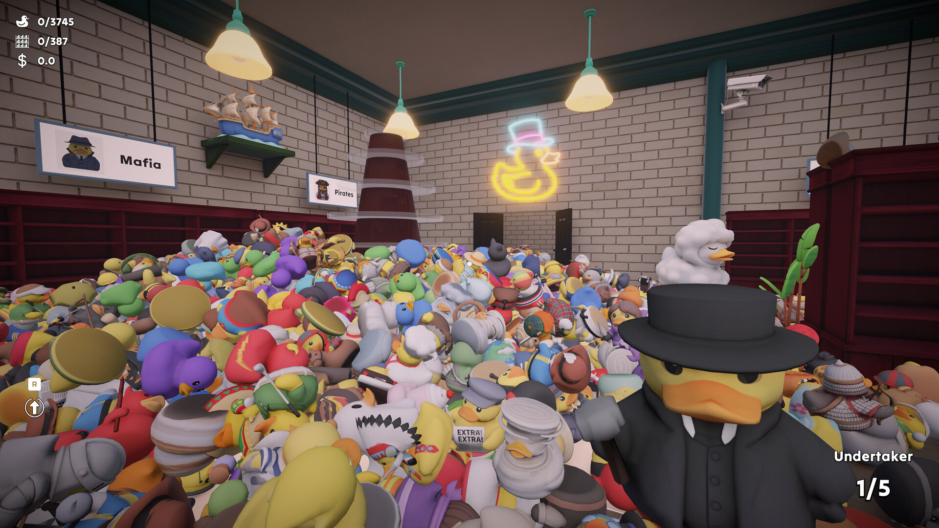 Sort Them Ducks gameplay screenshot 3