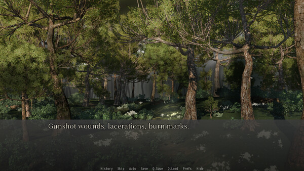 TORCH & TRIGGER screenshot 2