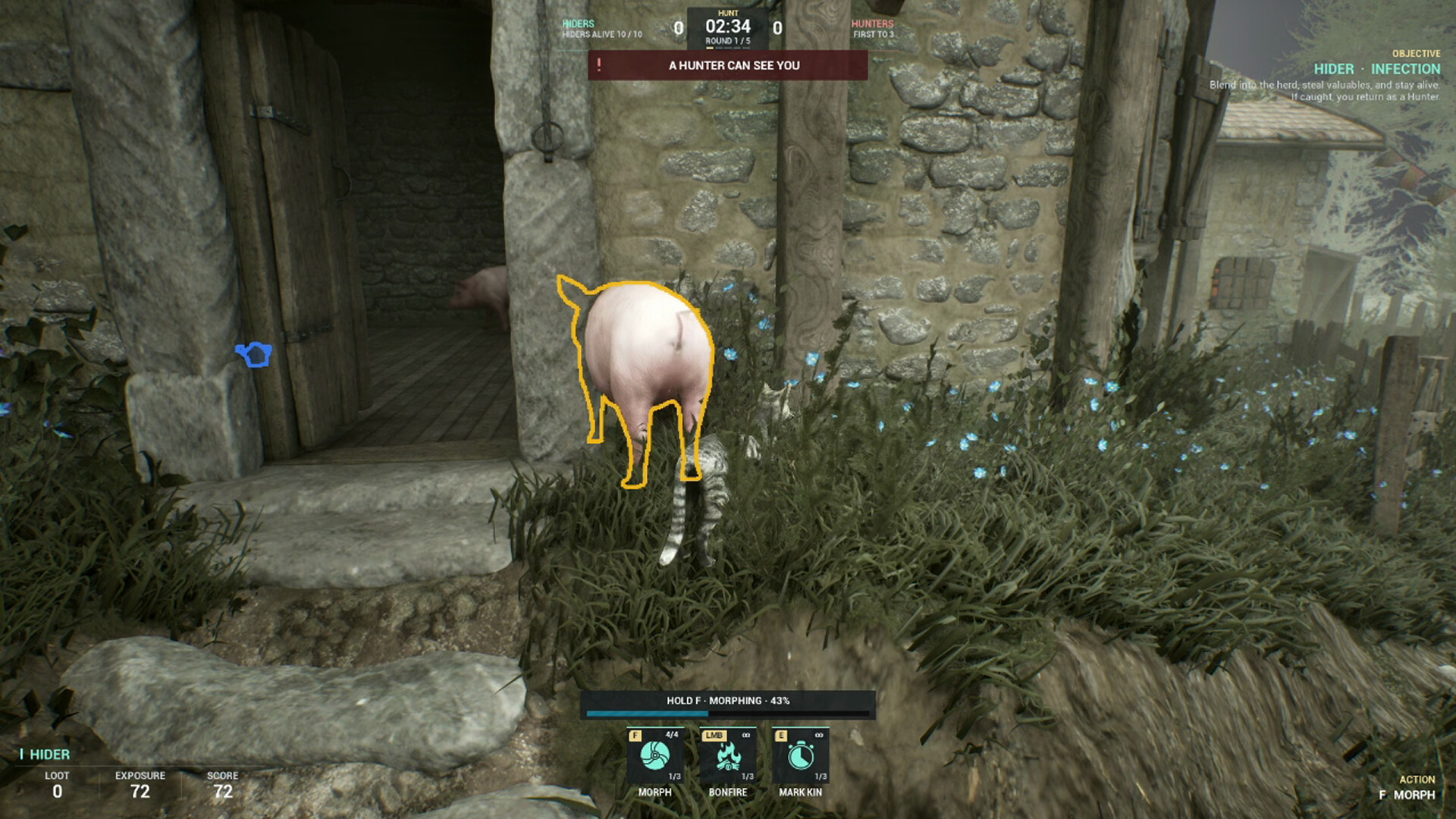 Sneaky Pig: Druid Hide & Seek screenshot 3