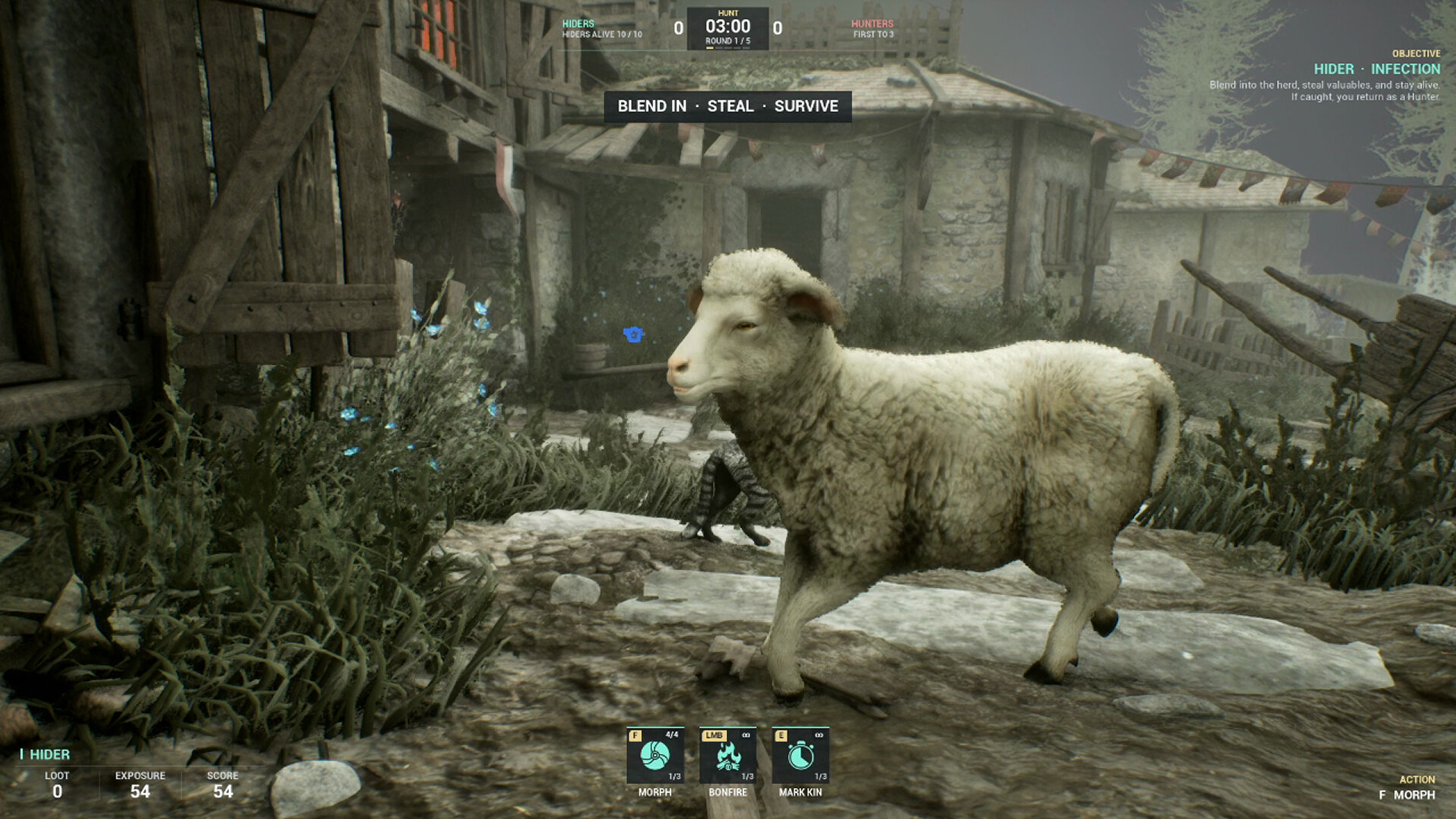 Sneaky Pig: Druid Hide & Seek screenshot 13