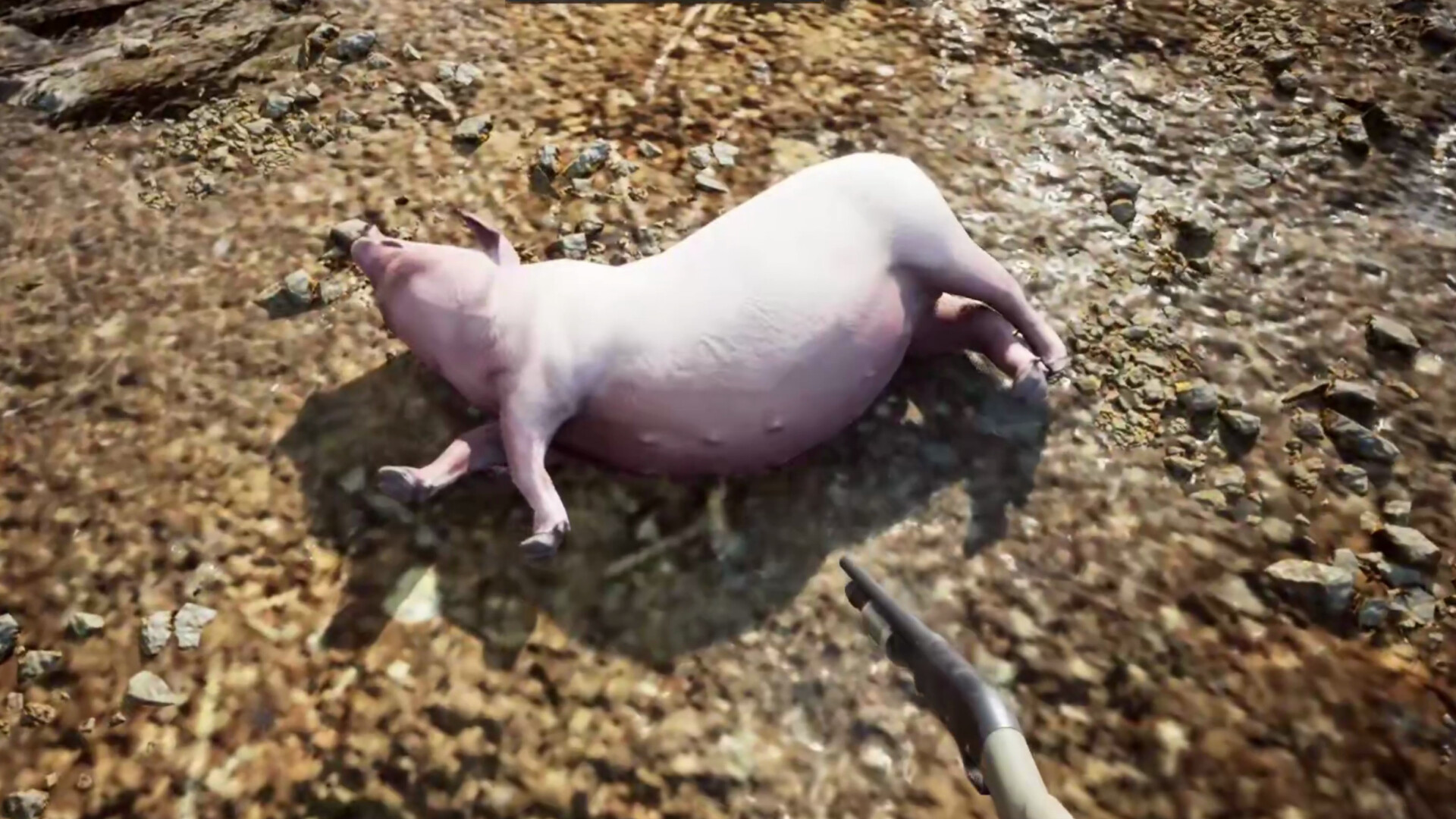 Sneaky Pig: Druid Hide & Seek screenshot 1