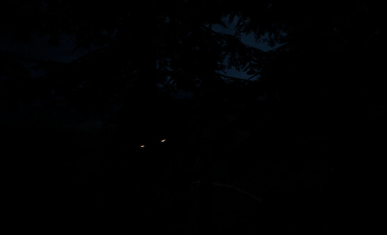 Stray Light Screenshot
