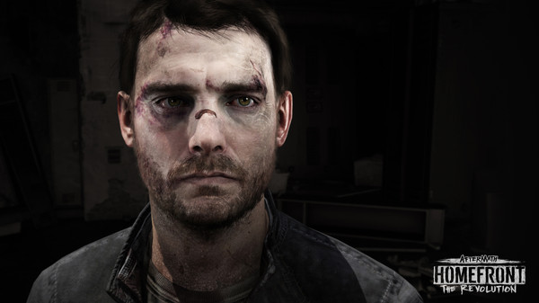 Homefront®: The Revolution - Aftermath