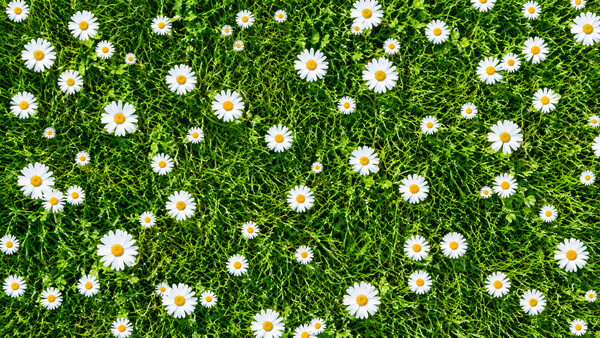 Puzzles Patterns Screenshot