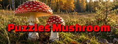 Puzzles Mushroom