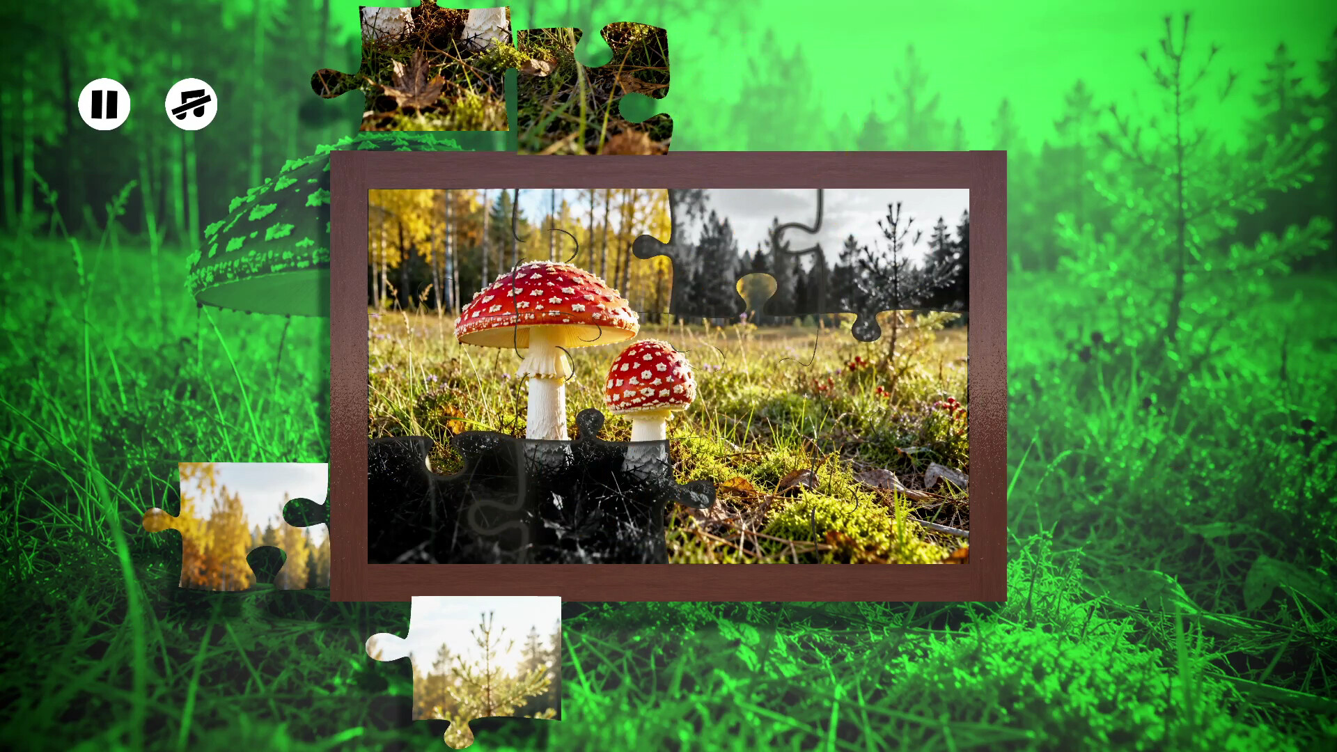 Puzzles Mushroom screenshot