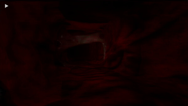 LimeFlesh screenshot 3