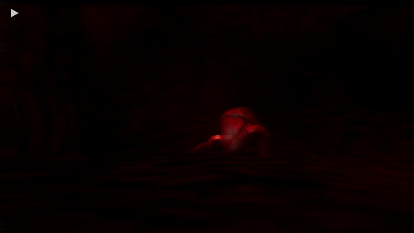LimeFlesh screenshot 4