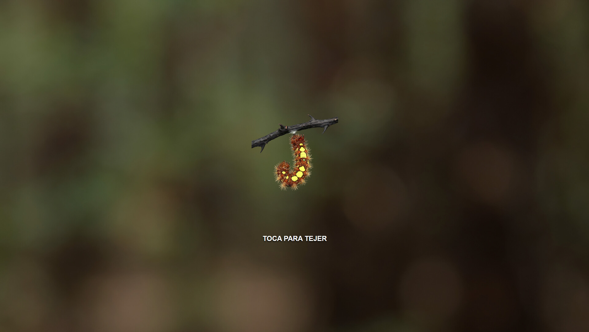 Butterfly Project screenshot 4