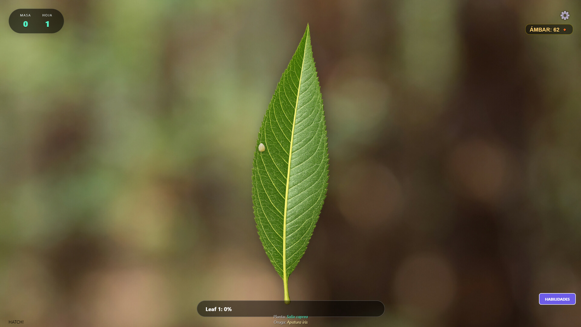 Butterfly Project screenshot 2