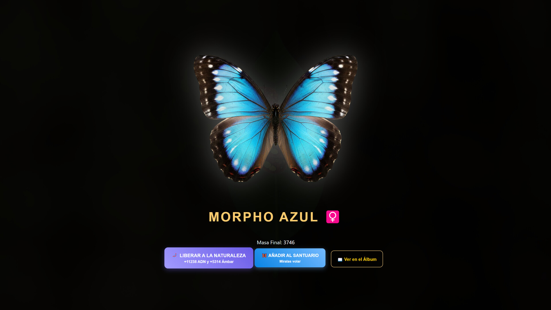Butterfly Project screenshot 7