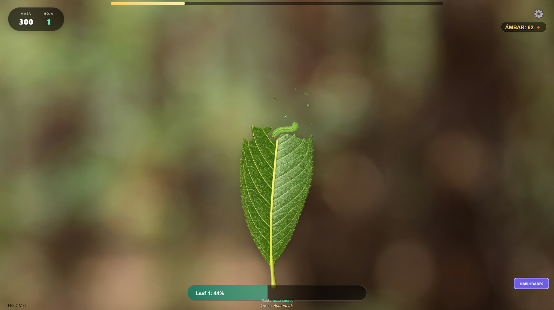 Butterfly Project screenshot 3