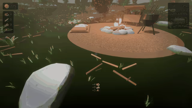Twigs and Firewood video 1