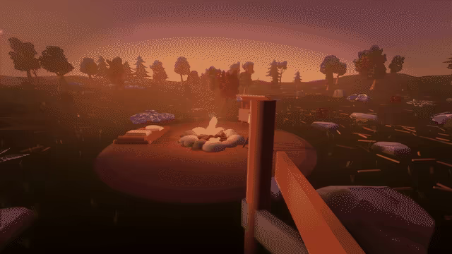 Twigs and Firewood video 2