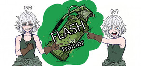 FlashTrainer