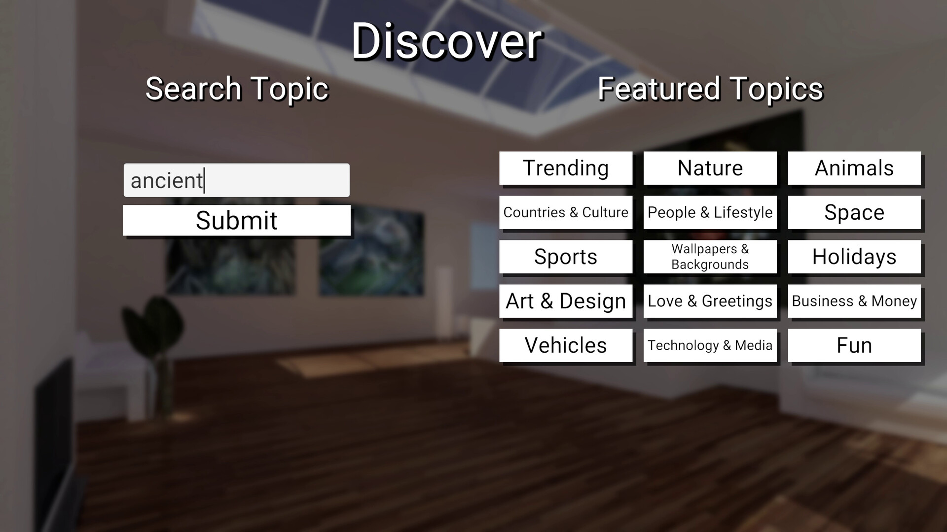 Infinite Galleries screenshot 1