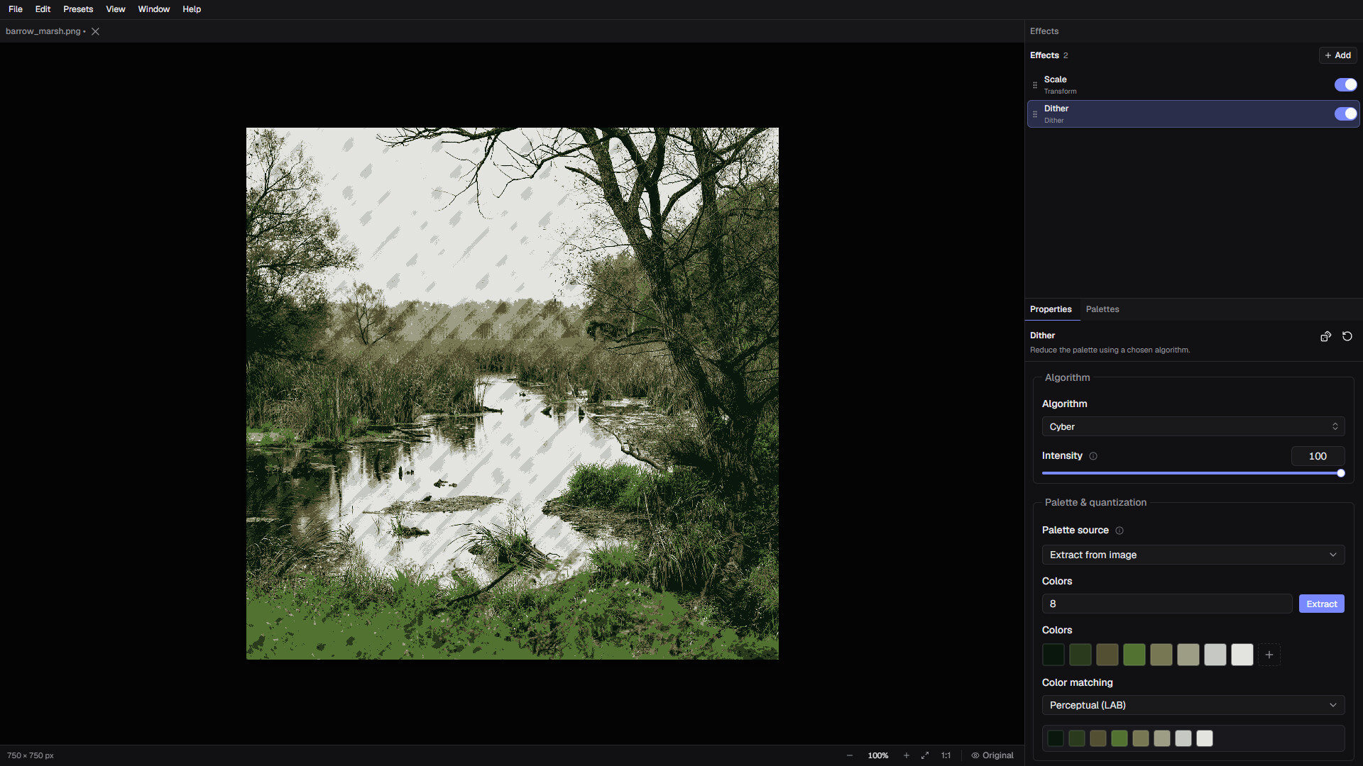 DitherMaster Studio screenshot 2