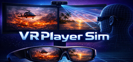 VRPlayerSim