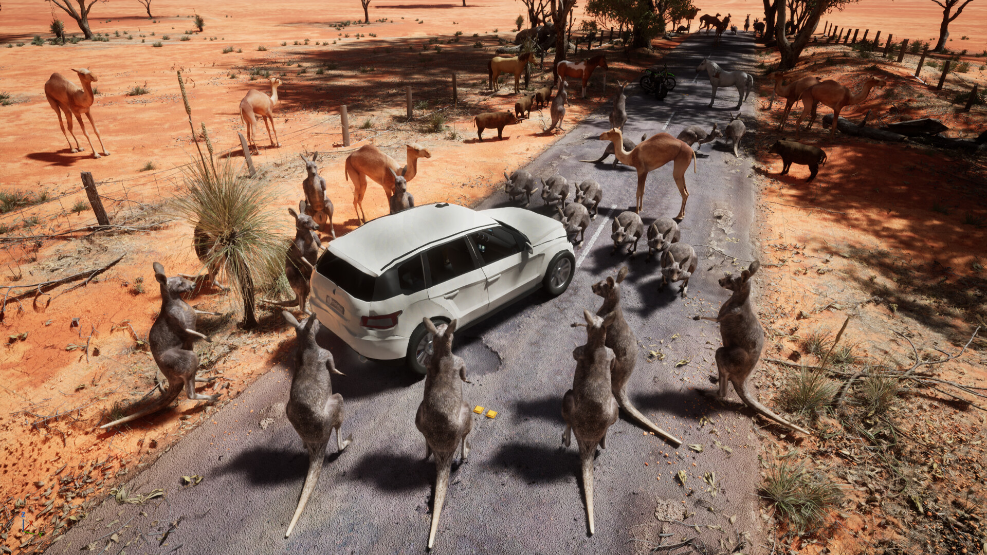 Australian Hunter screenshot 10
