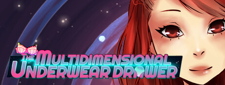 The Multidimensional Underwear Drawer cover art