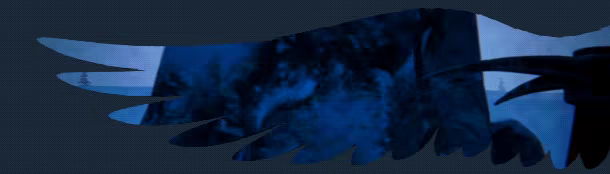 Liminal Angel video 3