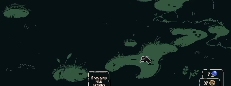 Wilds & Cards video 4