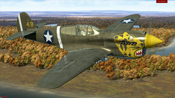 IL-2 Sturmovik: P-40E-1 Collector Plane
