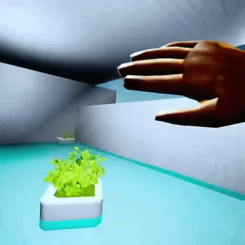 Hallness video 2