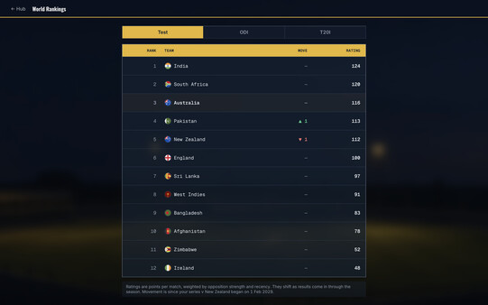 Cricket Team Manager screenshot 9