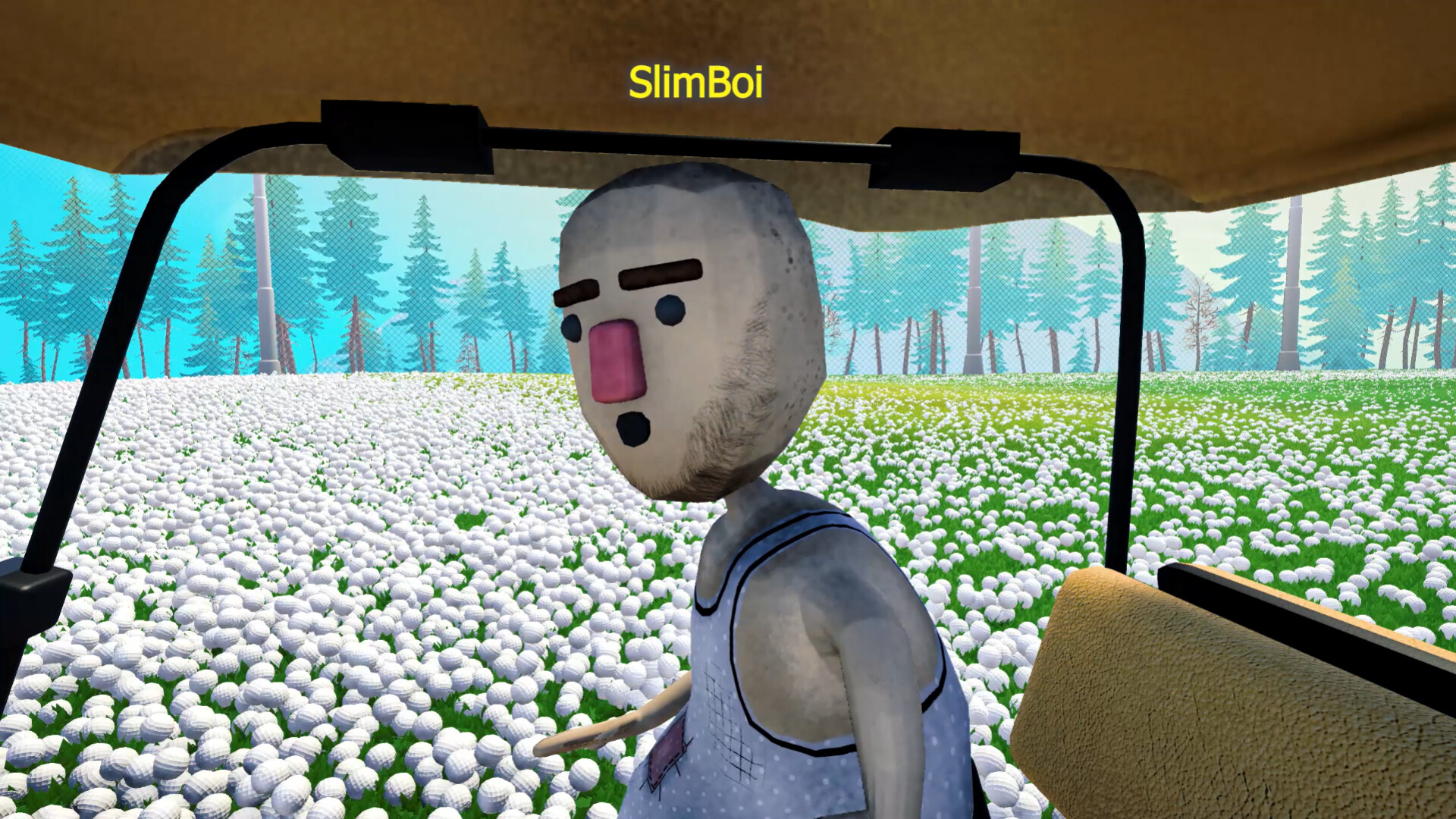 BALL PICKER - Clean Up the Golf Yard screenshot 3