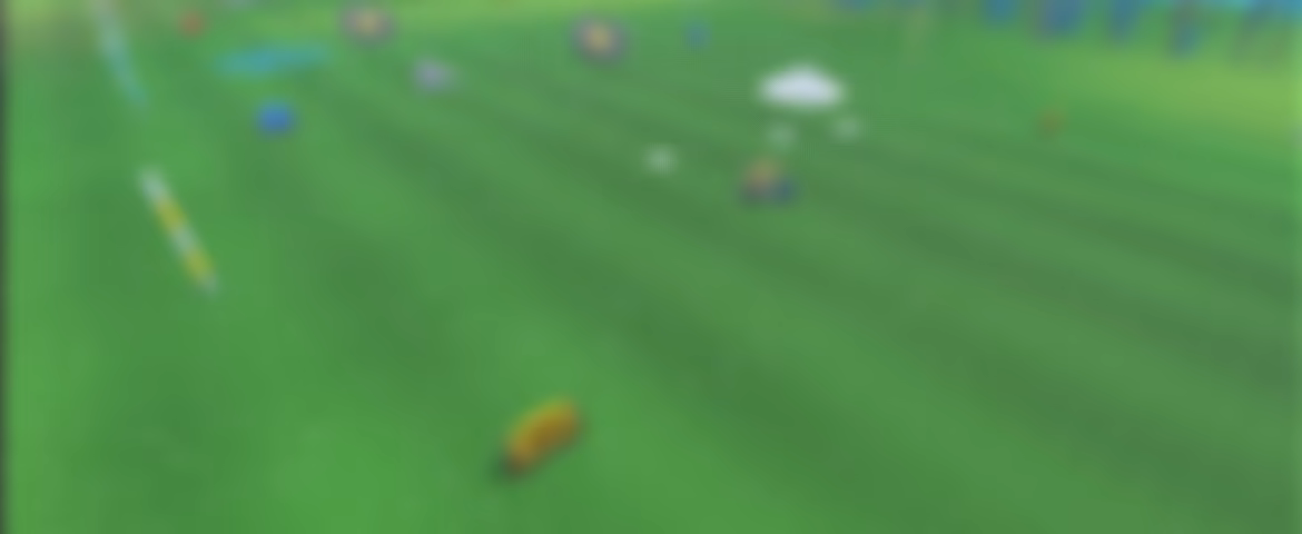 BALL PICKER - Clean Up the Golf Yard video 2