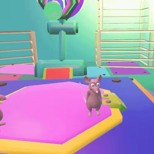 Zap Rat video 1